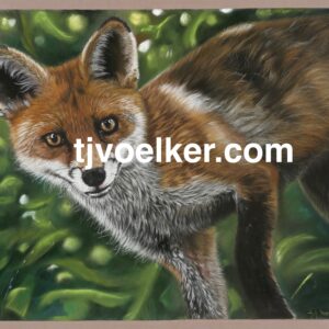 Fox in green