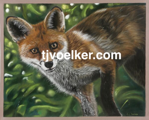 Fox in green