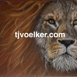Lion of Judah
