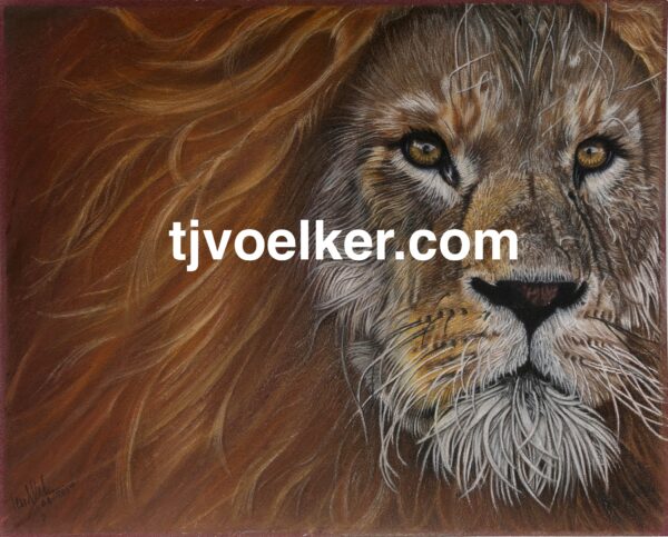 Lion of Judah