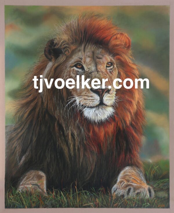 Sonlight (Red Lion)